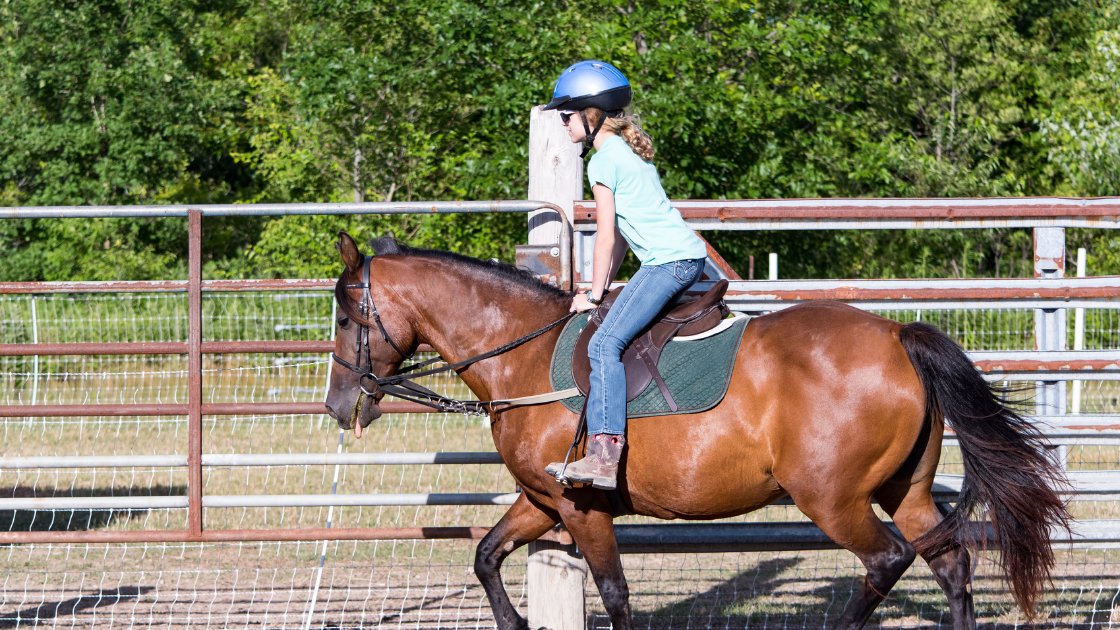 EQUIT