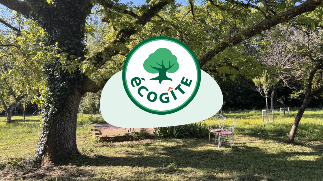 ECOGI