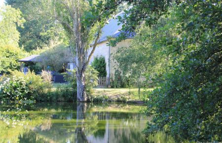 G&icirc;te n&deg;37G20901 Saint-Nicolas-de-Bourgueil - Indre-et-Loire - G&icirc;te du Port Guyet (photo du propri&eacute;taire)