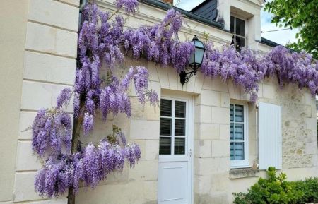 G&icirc;te n&deg;37G25051 Genill&eacute; - Indre-et-Loire - (photo du propri&eacute;taire)