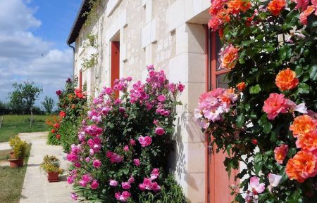 Chambre d'h&ocirc;tes n&deg;37G16142 Saint-Senoch - Indre-et-Loire - photo