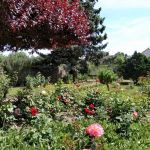 gite - La Corderie - VALLERES - Indre-et-Loire