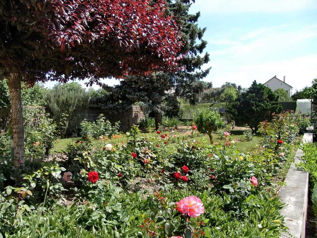 photo 0