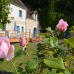 gite - Gîte de la Fontaine - CHAMBOURG SUR INDRE - Indre-et-Loire