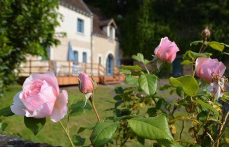 G&icirc;te n&deg;37G27001 Chambourg-sur-Indre - Indre-et-Loire - photo