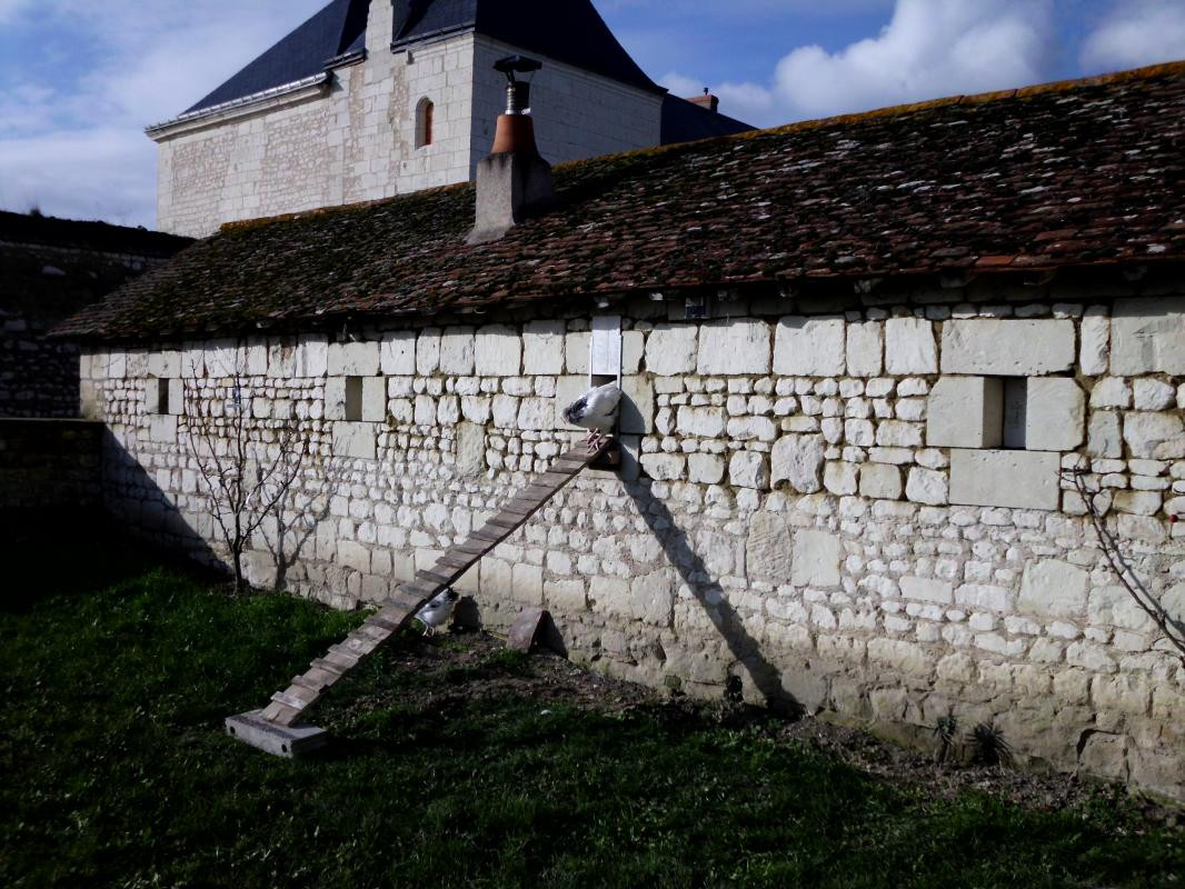 photo 49