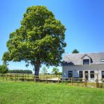 gite - A l'Ombre du Tilleul - ORBIGNY - Indre-et-Loire