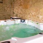 gite - Le Manoir du ch&acirc;teau - LANGEAIS - Indre-et-Loire