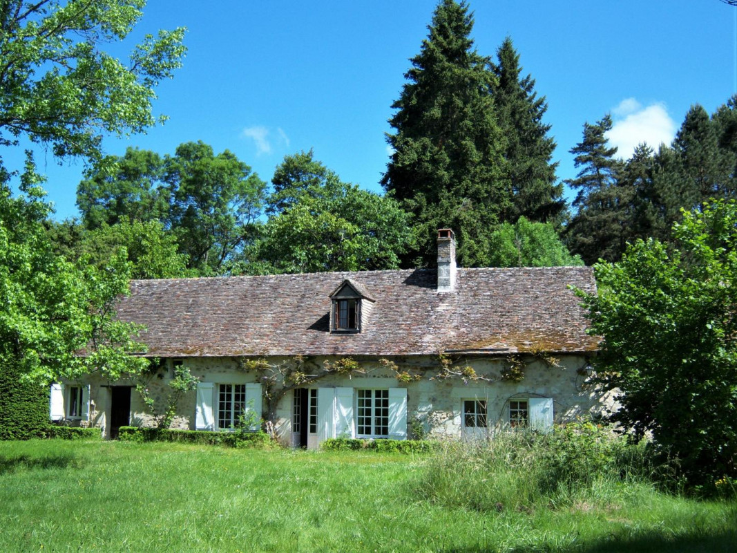 photo 0