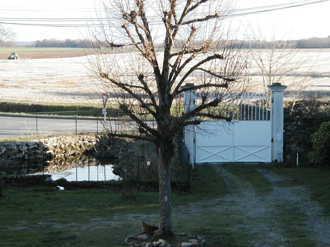photo 35