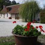 gite - Petit Gîte du Vieux Pressoir - COUR CHEVERNY - Loir-et-Cher