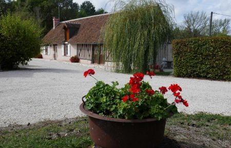 Gîte n°41G103 Cour-Cheverny - Loir-et-Cher - photo