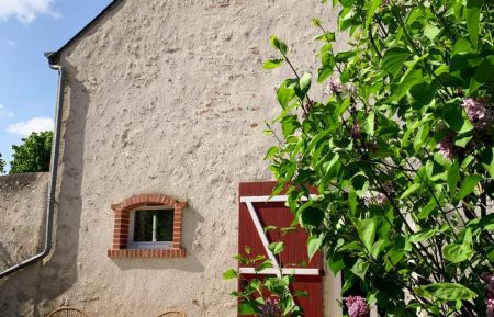 Gîte n°41G1393 Saint-Claude-de-Diray - Loir-et-Cher - photo