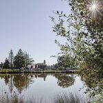 gite-etape - Gîte du Grand Chêne - NEUNG SUR BEUVRON - Loir-et-Cher
