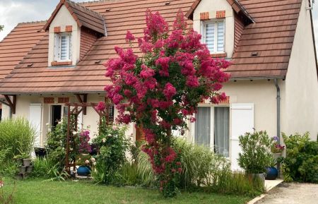 Chambre d'h&ocirc;tes n&deg;41G10439 Cheverny - Loir-et-Cher - (Photo du propri&eacute;taire)