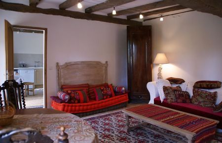 Salon Gîte n°41G1054 Veuzain-sur-Loire - Loir-et-Cher - Salon