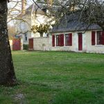 gite - Le Clos - LE CONTROIS-EN-SOLOGNE - OUCHAMPS - Loir-et-Cher
