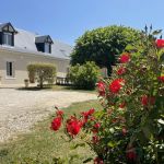 gite - Les Roseaux - LE CONTROIS-EN-SOLOGNE - FEINGS - Loir-et-Cher